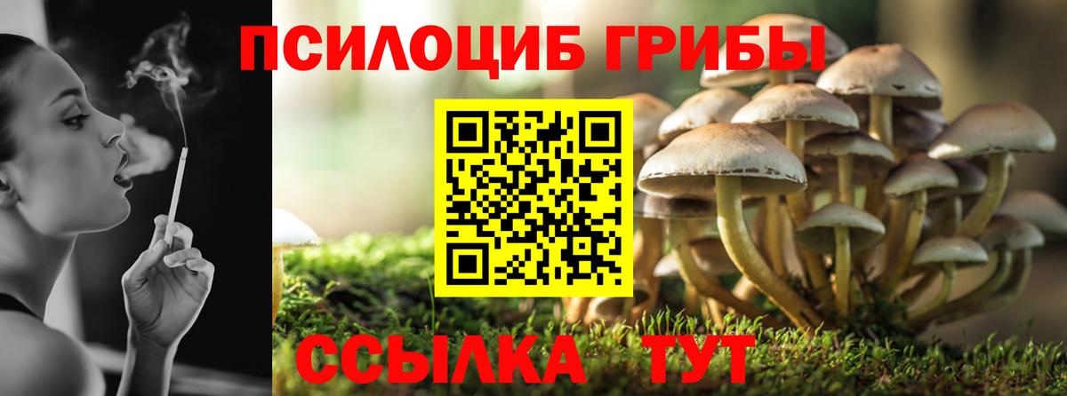 Галлюциногенные грибы мицелий  Вход с VPN  Калач-на-Дону  Галлюциногенные грибы мицелий 